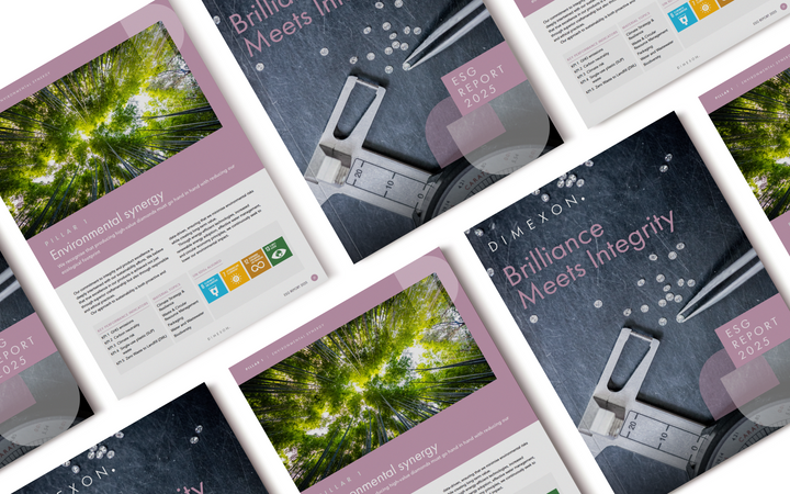Our vision for a sustainable and ethical future